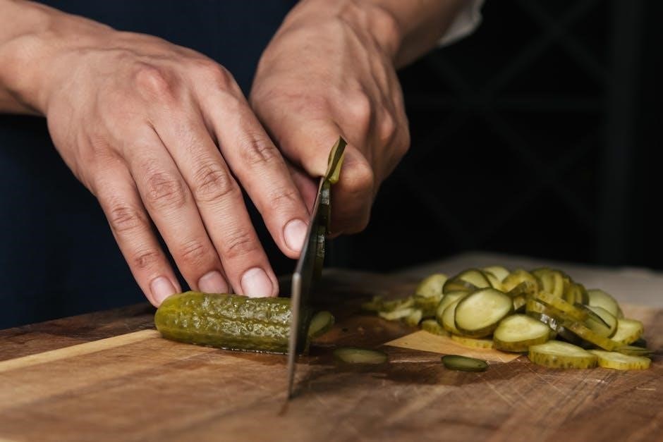 magic chef dehydrator owners manual