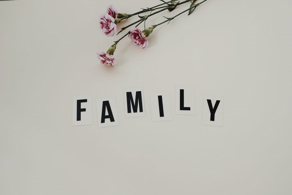 family fortunes questions and answers pdf